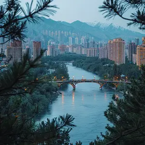 陕西美食视频大全做法